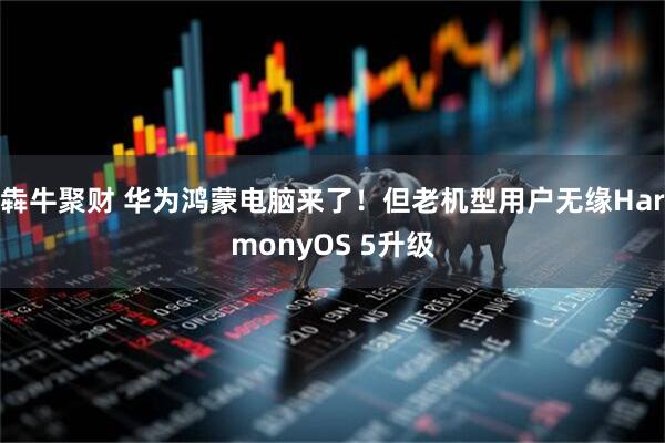 犇牛聚财 华为鸿蒙电脑来了！但老机型用户无缘HarmonyOS 5升级