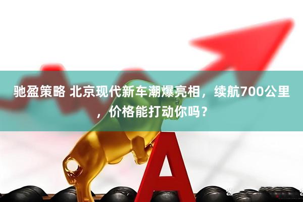 驰盈策略 北京现代新车潮爆亮相，续航700公里，价格能打动你吗？
