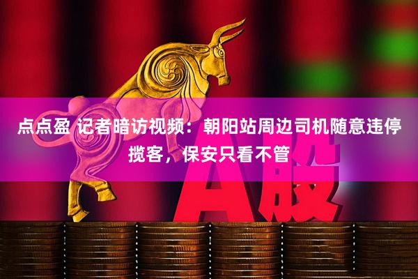 点点盈 记者暗访视频：朝阳站周边司机随意违停揽客，保安只看不管