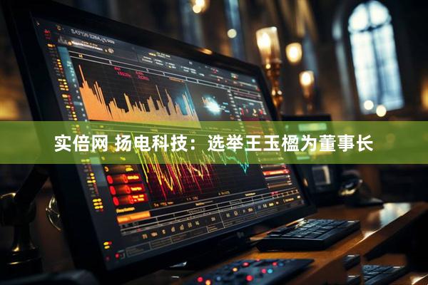 实倍网 扬电科技：选举王玉楹为董事长