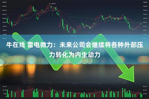 牛在线 雷电微力：未来公司会继续将各种外部压力转化为内生动力