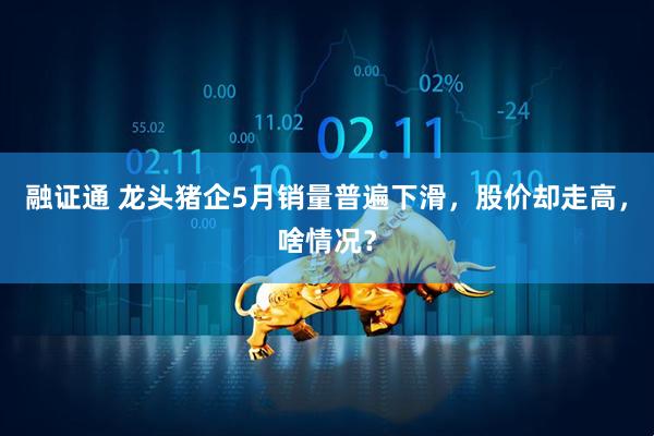 融证通 龙头猪企5月销量普遍下滑，股价却走高，啥情况？