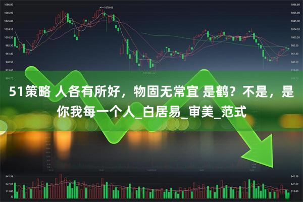 51策略 人各有所好，物固无常宜 是鹤？不是，是你我每一个人_白居易_审美_范式