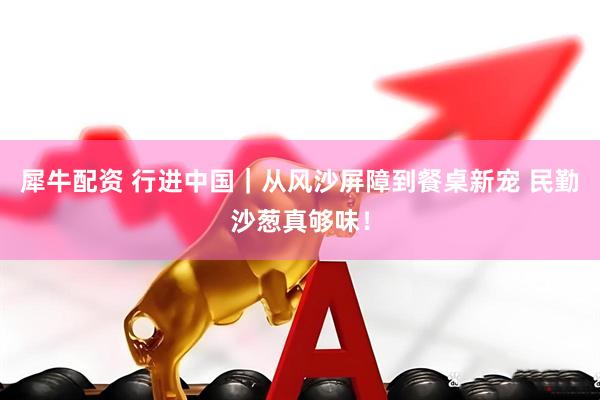 犀牛配资 行进中国｜从风沙屏障到餐桌新宠 民勤沙葱真够味！